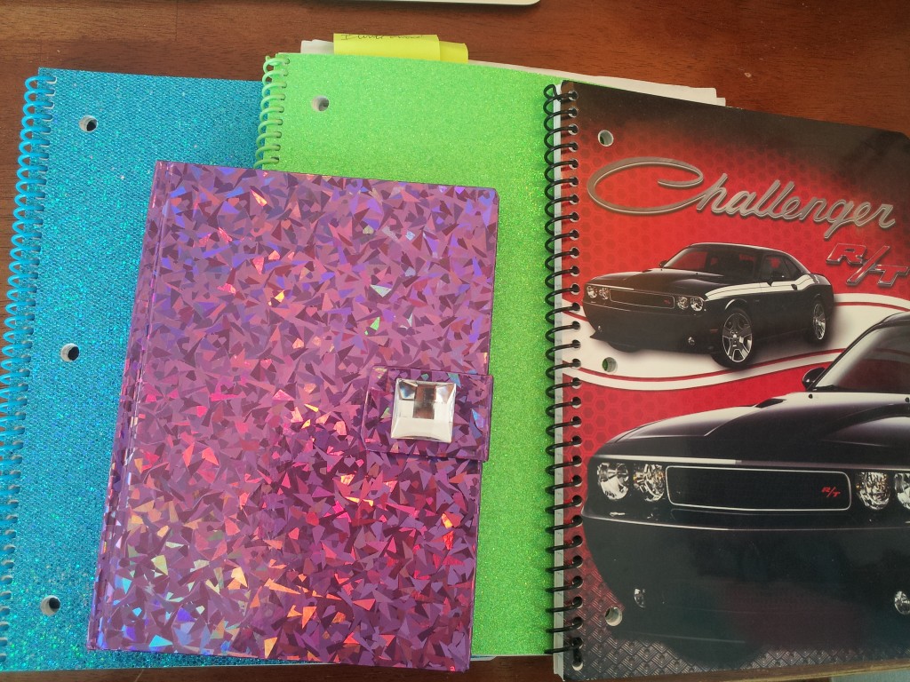 sparkly-notebooks